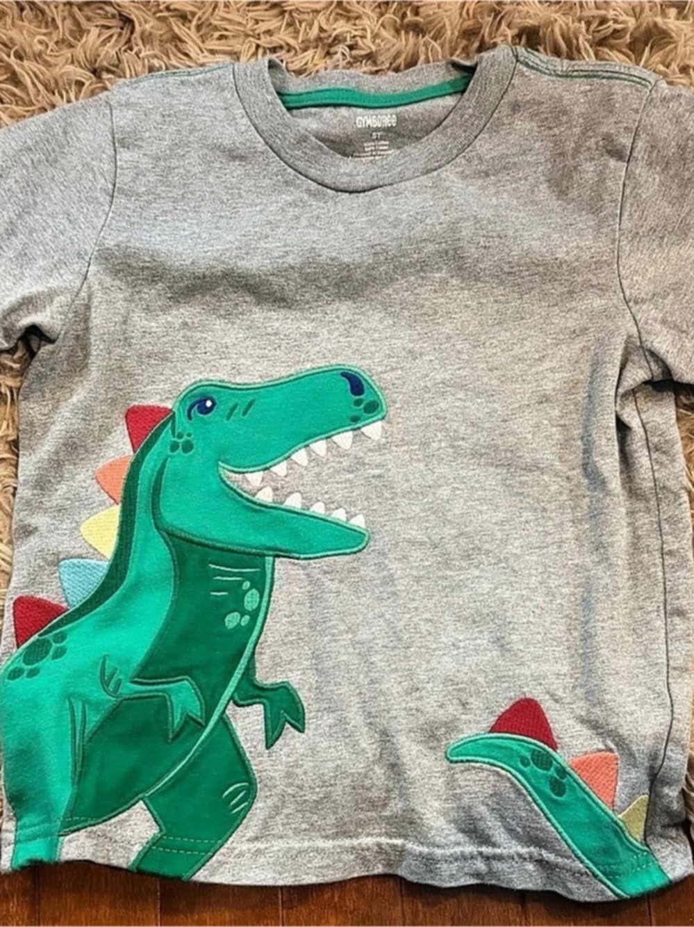 Gymboree Dinosaur Graphic Tee Size 5T Like New